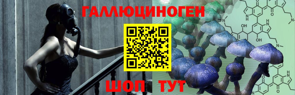 Псилоцибиновые грибы ЛСД Кольчугино